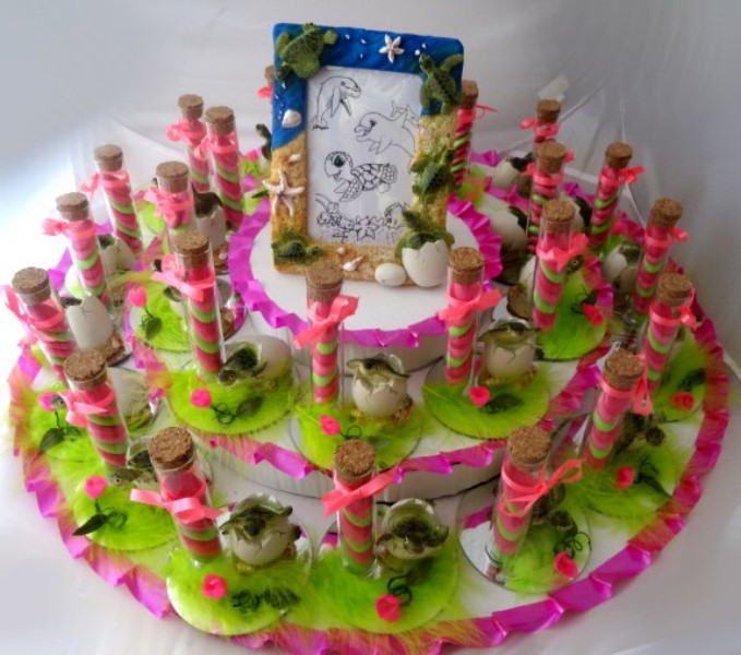 ../Images/plateau ballotins tortue  juin 2020.jpg